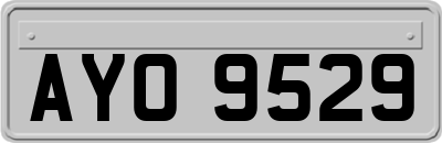 AYO9529