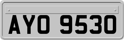AYO9530