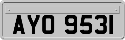 AYO9531
