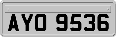 AYO9536
