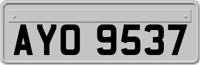 AYO9537