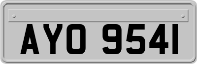 AYO9541