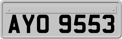 AYO9553