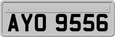 AYO9556
