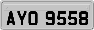 AYO9558