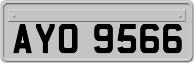 AYO9566