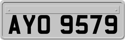 AYO9579