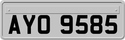 AYO9585