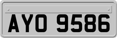 AYO9586