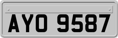 AYO9587