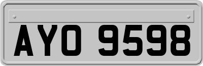 AYO9598