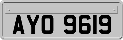AYO9619