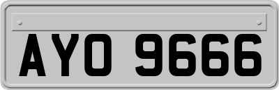 AYO9666
