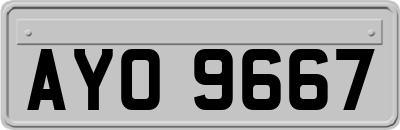 AYO9667