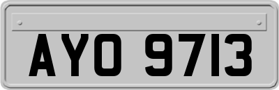 AYO9713