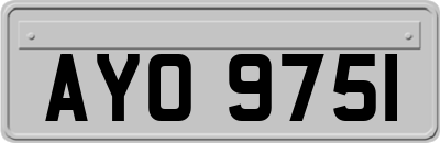 AYO9751