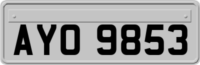AYO9853