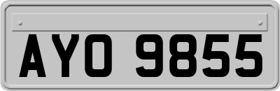 AYO9855