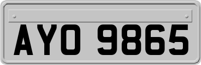 AYO9865