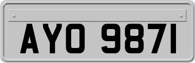AYO9871