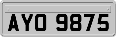 AYO9875