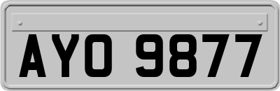 AYO9877