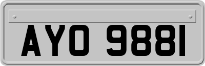 AYO9881