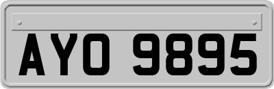 AYO9895