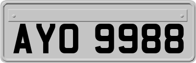 AYO9988