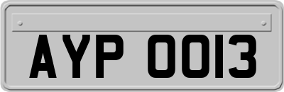 AYP0013