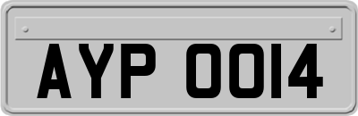 AYP0014