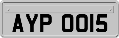AYP0015