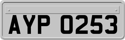 AYP0253
