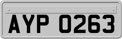 AYP0263