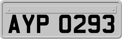AYP0293