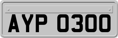 AYP0300