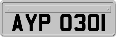 AYP0301