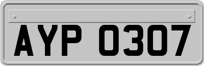AYP0307