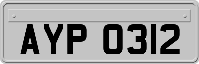 AYP0312