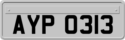 AYP0313