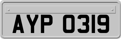 AYP0319