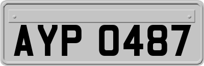 AYP0487