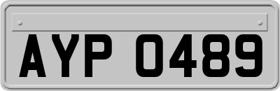 AYP0489