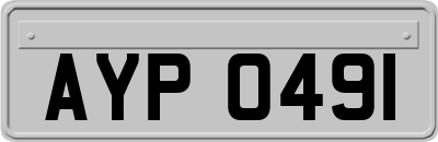 AYP0491