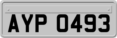 AYP0493