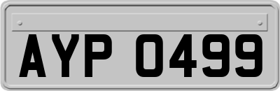 AYP0499