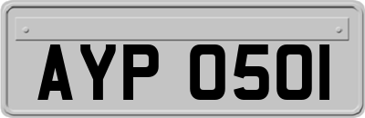 AYP0501