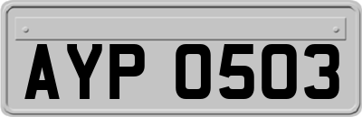 AYP0503