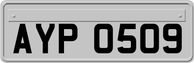 AYP0509