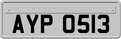 AYP0513